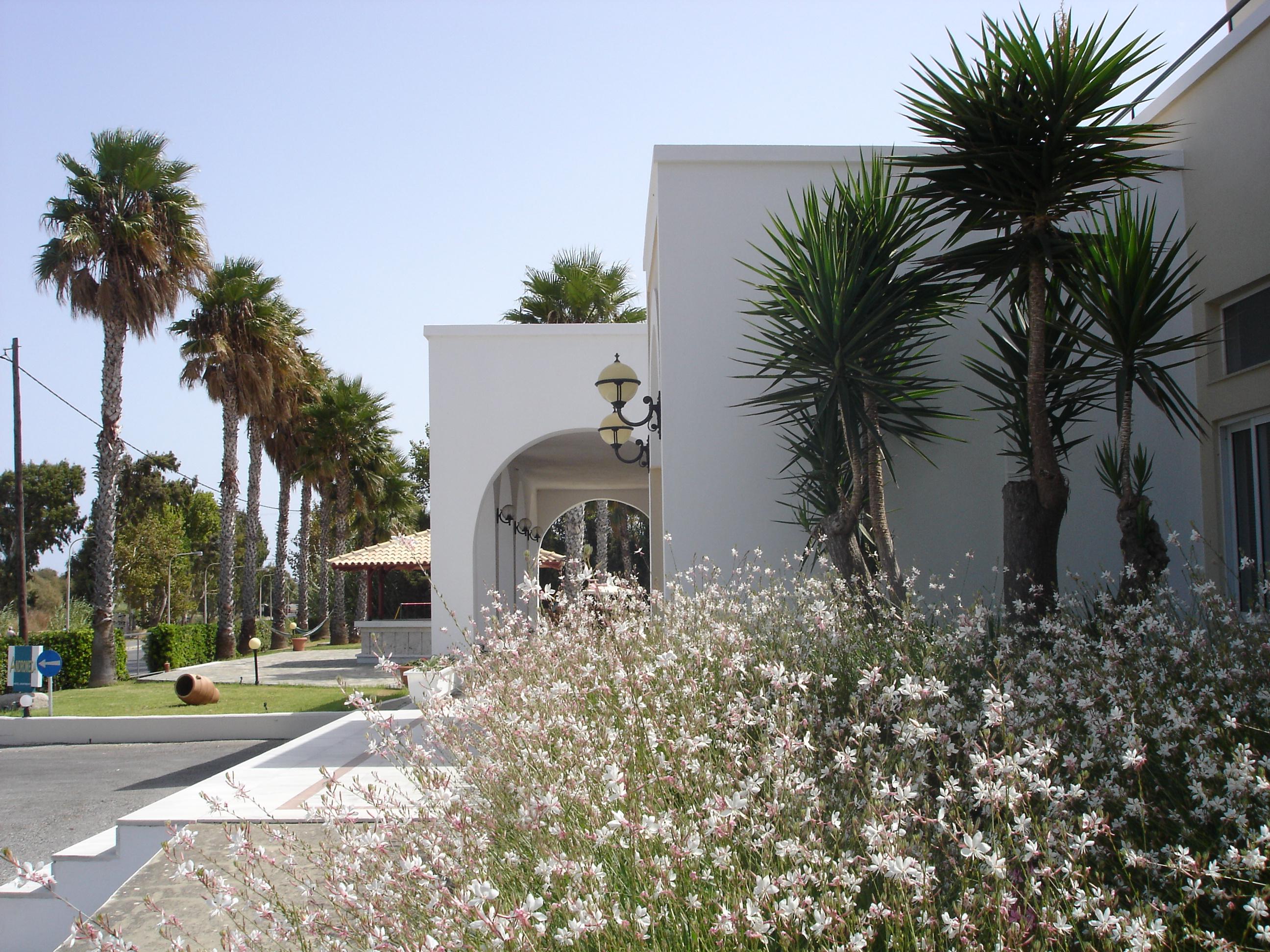 Andromeda Psalidi (Kos)